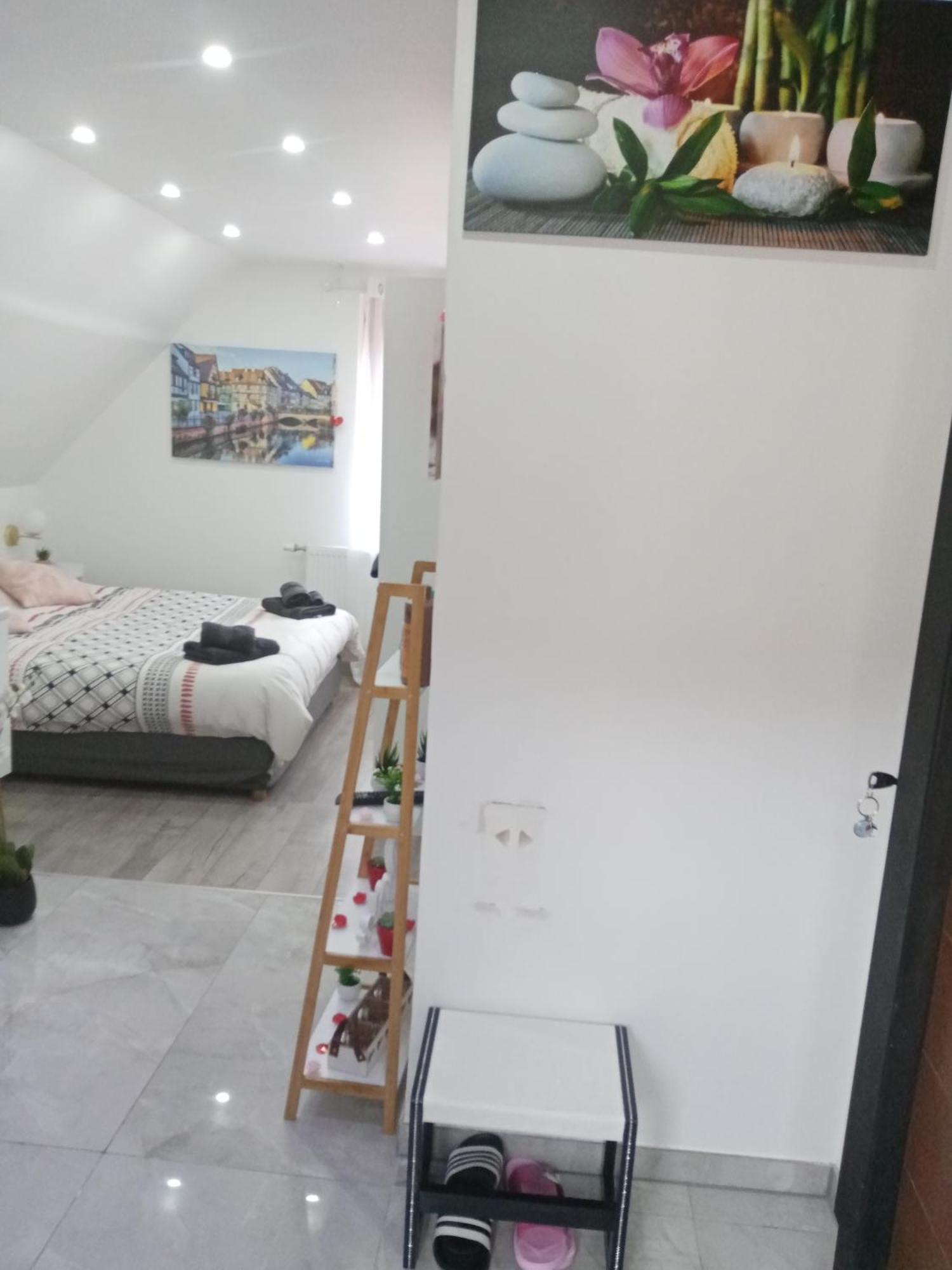 Studio Jacuzzi Au Centre Кольмар Номер фото